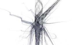 2014 12 15 Shadow Play 024-white.jpg